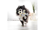 Hunde - KONG Hundespielzeug Wild Knots Bear Verschiedene Farben XS 10cm - 340492