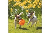 Hunde - KONG Dog Toy Jumbler Ball Medium/Large 14cm - 340917