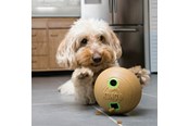 Hunde - KONG Dog Toy Bamboo Feeder Dumbbell M - 340925