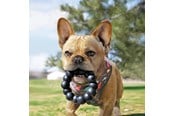 Hunde - KONG Dog Toy Extreme Ring XL 13cm - 340926
