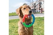 Hunde - KONG Dog Toy Twistz Ring Small 17cm - 340938