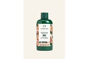 Körperpflege - The Body Shop Shea Shower Cream 250 ml - 5028197235840