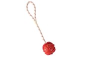 Hunde - Trixie Ball on Rope ø 4.5/35 cm assorted colours - TX33481