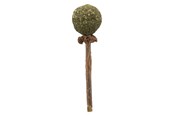 Katzen - Trixie Matatabi Lolly 11 cm - TX42430