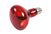 Heating/Light - Trixie Infrared Heat Spot Lamp 100W R80 E27 - TX76097