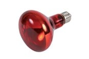 Heating/Light - Trixie Infrared Heat Spot Lamp 150W R95 E27 - TX76098