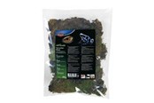 Nagetiere - Trixie Terrarium moss 200g - TX76155
