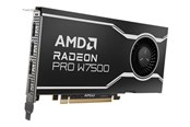 Grafikkarte - AMD Radeon Pro W7500 - 8GB GDDR6 RAM - Grafikkarte - 100-300000078