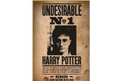 Puzzle - Thumbs Up! Harry Potter "Wanted No. 1" Puzzle - 8435450255397