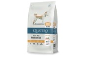 Hunde - Quattro All Breed with Poultry Adult 3kg - 13052