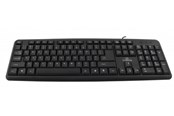Tastaturen - Esperanza TITANUM STANDARD USB KEYBOARD - Tastatur - Schwarz - TK101