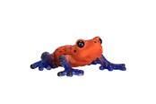 Spielzeug - Mojo Wildlife Poison Dart Tree Frog - 381016