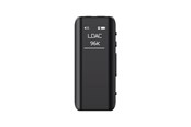 Tragbare & Party-Lautsprecher - FiiO BTR15 - FiiO BTR15
