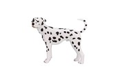 Spielzeug - Mojo Farmland Dalmatian - 387248