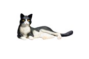 Spielzeug - Mojo Farmland Lying Cat Black/White - 387367