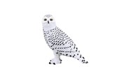 Spielzeug - Mojo Wildlife Snowy Owl - 387201