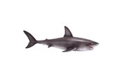 Spielzeug - Mojo Sealife Great White Shark - 381012