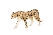Spielzeug - Mojo Wildlife Cheetah Male - 387197 - 387197