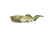 Spielzeug - Mojo Prehistory Dunkleosteus - 387374