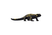 Schleich - Schleich Feuersalamander - 14870