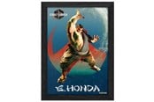 Merchandise - Pixel Frames - PLAX Street Fighter 6: E. Honda - Bild - 849172015371
