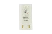 Gesichtspflege - Beauty of Joseon - Matte Sun Stick Mugwort + Camelia SPF 50+ PA++++ - 8809864766884