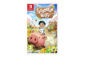 Spiele - Everdream Valley - Nintendo Switch - Abenteuer - PEGI 3 - 5056635607539