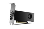 Grafikkarte - PNY RTX 2000 Ada Small Box - 16GB GDDR6 RAM - Grafikkarte - VCNRTX2000ADA-SB