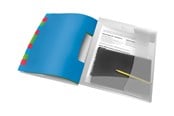 Archivierung und Aufbewahrung - Esselte Vivida - classification folder - 12 parts - tabbed - white translucent - 624030