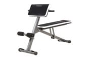 Sport & Fitness - Toorx WBX 40 Hyper Extension - WBX-40IONE SIZE