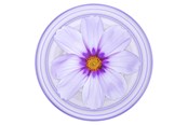 Handys - Anderes Zubehör - PopSockets PopGrip Plant Purple Cosmo - 806846