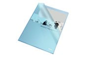 Archivierung und Aufbewahrung - Esselte Folder  105my A4 Bag of 10 Blue - 54825