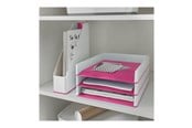 Archivierung und Aufbewahrung - Leitz WOW Briefkorb Duo Colour Pink - 53611023