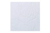 Druckerzubehör - Tinte & Toner - ACCO Brands  LeatherGrain™ Deckblatt A4 250 g/m² Weiß - CE040070