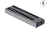 USB-Hubs - DeLOCK - hub - 13 ports USB-Hubs - USB 3.0 - 13 - Grau - 63738