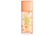 Parfüm und Düfte - Elizabeth Arden Green Tea Nectarine EDT 100 ml - 0085805544829