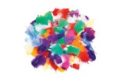 Kunst & Handwerk Ausstattung - Colorations - Rainbow feathers 85 grams - CHRFEA