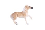 Figuren - Mojo Horse World Brumby Mare - 381059
