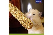 Nagetiere - Vitakraft Kräcker® + Honig & Dinkel - 25152