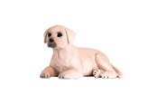 Figuren - Mojo Farmland Labrador Puppy - 387272