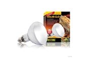 Heating/Light - EXO TERRA Solar-Glo 125 watts. UVA UVB Infrared - PT2192
