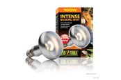 Heating/Light - EXO TERRA Sun Glo intense basking spot 150 w w/UVA - HPT2140