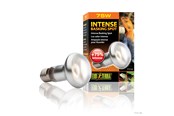 Heating/Light - EXO TERRA Sun Glo Intense Basking Spot 75 w. w/UVA - HPT2136