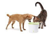 Katzen - Catit Design White/Lime Drinking fountain 3L - H55600
