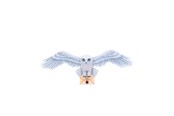 Merchandise - Harry Potter - Hedwig Wall Plaque - B6054W2