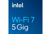 Netzwerkadapter (Netzkarte, Druckserver, u.s.w.) - Intel BE201 (1st gen) Wi-Fi 7 2x2 + BT 5.4 / M.2 2230 / With vPro - BE201.NGWG / 99C44R