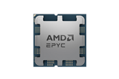 CPU - AMD EPYC 4124P - Tray CPU - 4 Kerne - 3.8 GHz - AMD AM5 - Bulk (ohne Kühler) - 100-000001570