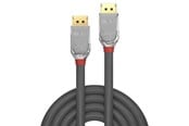Display Kabel - Lindy Cromo DisplayPort 1.2 Cable - 5m - 36304
