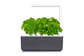 Einrichtung - Click & Grow - Smart Garden 3 Startkit - dark grey (SGS8UNI) - SGS8UNI