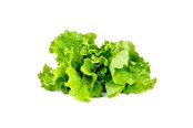 Smart-Home - Click & Grow Click and Grow - Smart Garden Refill 3-pack - Green Lettuce (SGR32X3) - SGR32X3